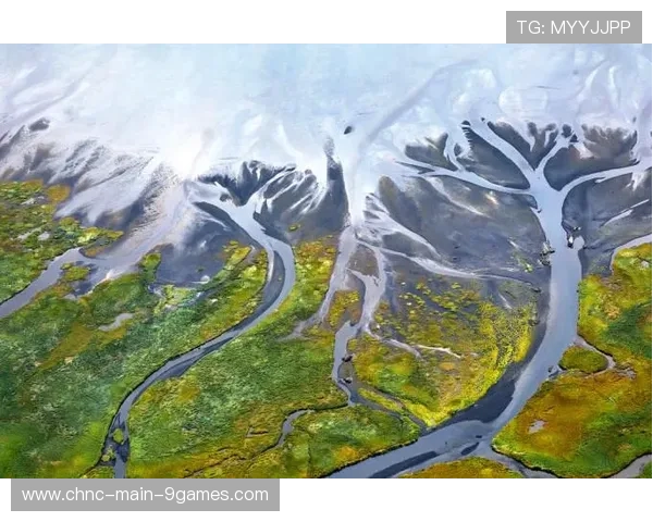 加拿大落入节奏差异明显的小组,出线预测呈现两极