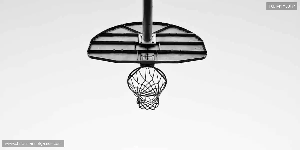 🎾专业周边,为热爱注入灵魂色彩!